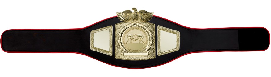 PROEAGLE GRAPPLING CHAMPIONSHIP BELT - PROEAGLE/G/GRAPG - AVAILABLE IN 6+ COLOURS PROEAGLE GRAPPLING CHAMPIONSHIP BELT - PROEAGLE/G/GRAPG - AVAILABLE IN 6+ COLOURS